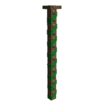 Viney Beam